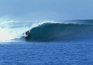 take the family or the misses to nusa lembogan trip thanks to the surf travel guru