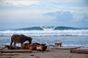 head to another epic surf gem thanks to the surf travel guru north sumatra