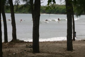 surfing in Mauritius thanks to the surf travel guru