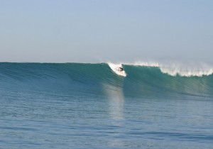 timor roti surfing trip thanks to the surf travel guru