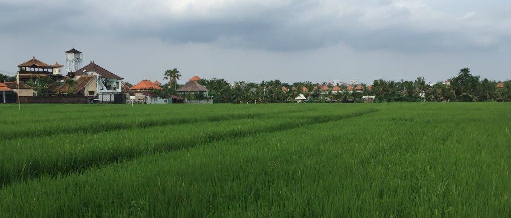 Welcome Home | Bali Holiday