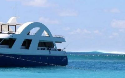 “The trip was UNBELIEVABLE – best holiday ever, and every surfer’s dream come true.”