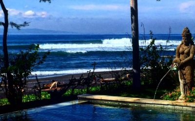 Thank You Surf Travel Guru!