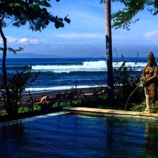 Thank You Surf Travel Guru!