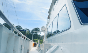 http://www.surftravelguru.com/wp-content/uploads/2018/07/2018-07-31_11-13-23.png