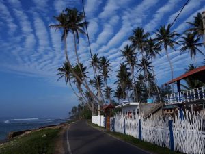 surftravelguru_srilanka review feature image