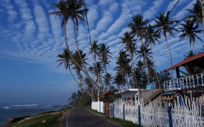 Sri Lanka | King Family | Review
