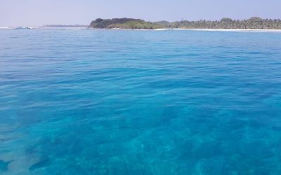 Amazing Holiday and Surf in Maldives
