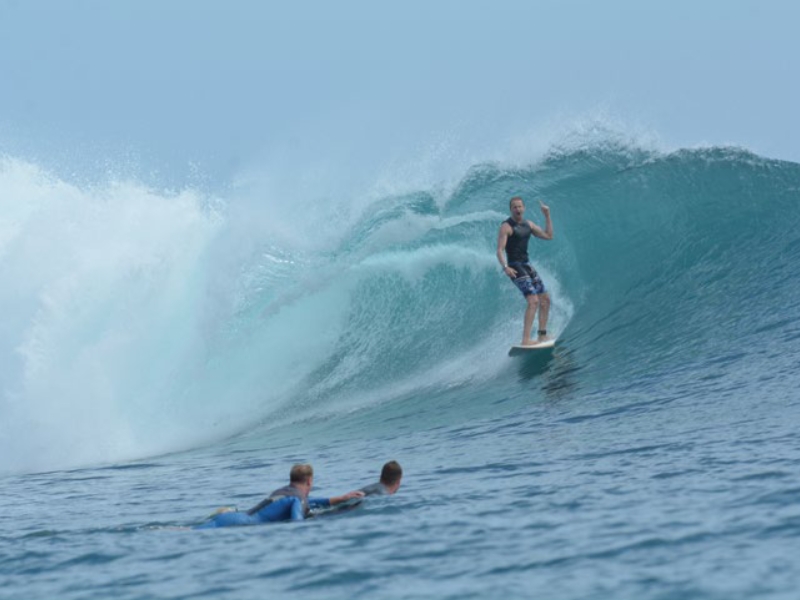 Barrels in Paradise