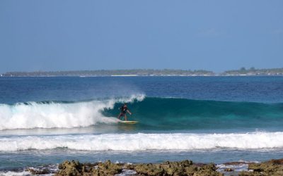THE TROPICS IS BACK – Maldive Magic