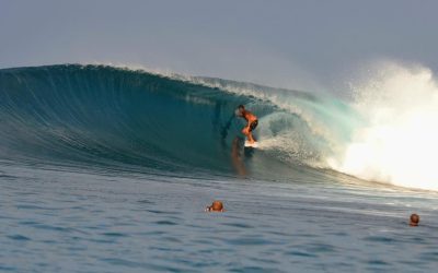 BEST SURF CHARTER EVER!