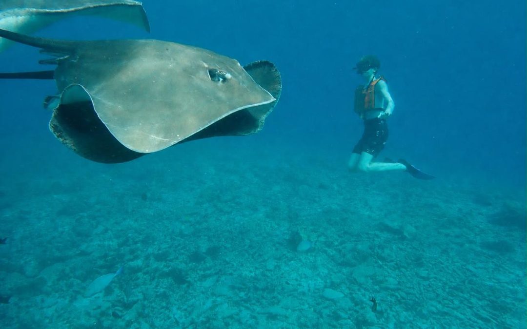 Maldives: Sun Siyam and Club Med Kani